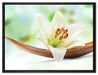 Lilie Blüte Bananenblatt auf Leinwandbild gerahmt Größe 80x60