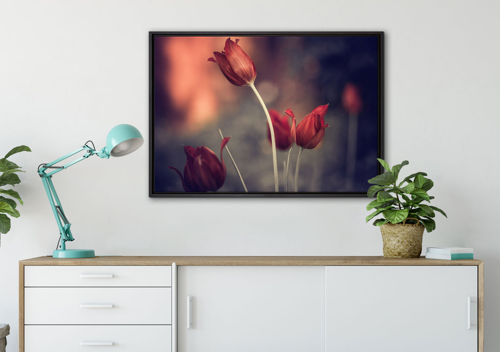Tulpen im Abendlicht auf Leinwandbild gerahmt verschiedene Größen im Wohnzimmer
