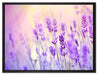 Lavendel im Retro Look auf Leinwandbild gerahmt Größe 80x60