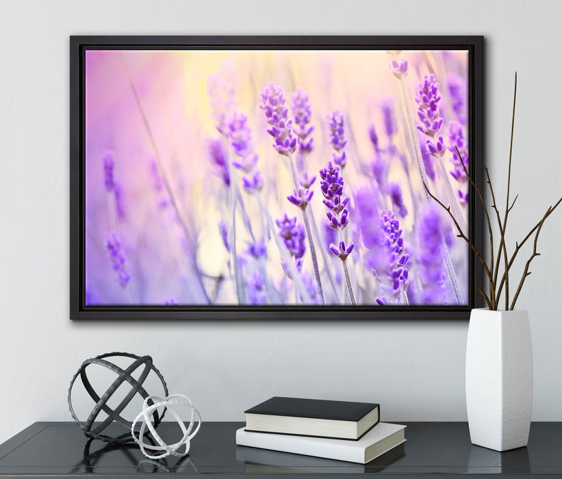 Lavendel im Retro Look auf Leinwandbild gerahmt mit Kirschblüten