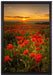 Mohnwiese im Sonnenuntergang auf Leinwandbild gerahmt Größe 60x40