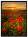 Mohnwiese im Sonnenuntergang auf Leinwandbild gerahmt Größe 80x60