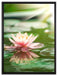 Seerose Wasseroberfläche auf Leinwandbild gerahmt Größe 80x60