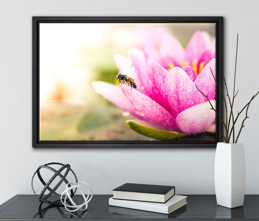 Winziges Biene auf Seerosenblüte auf Leinwandbild gerahmt mit Kirschblüten