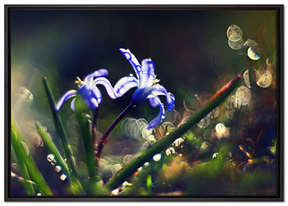 Wiesenblumen Morgen auf Leinwandbild gerahmt Größe 100x70