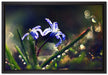 Wiesenblumen Morgen auf Leinwandbild gerahmt Größe 60x40