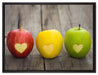 Ampel Herzäpfel auf Leinwandbild gerahmt Größe 80x60
