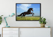 Schwarzer Hengst auf grünen Wiese auf Leinwandbild gerahmt verschiedene Größen im Wohnzimmer