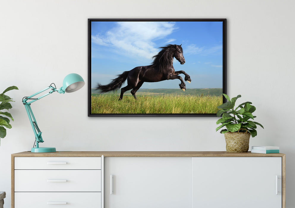 Schwarzer Hengst auf grünen Wiese auf Leinwandbild gerahmt verschiedene Größen im Wohnzimmer