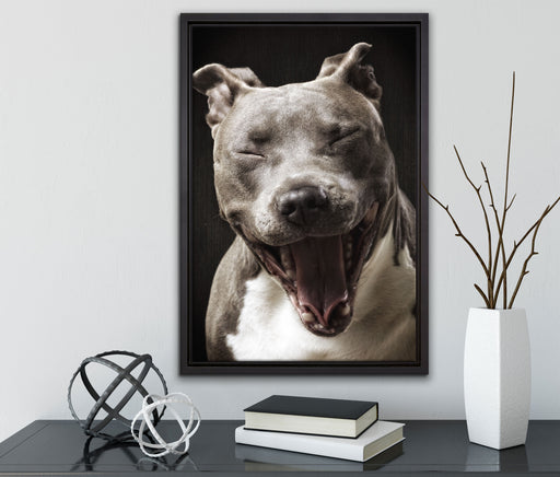 Lachender Pitbull auf Leinwandbild gerahmt mit Kirschblüten