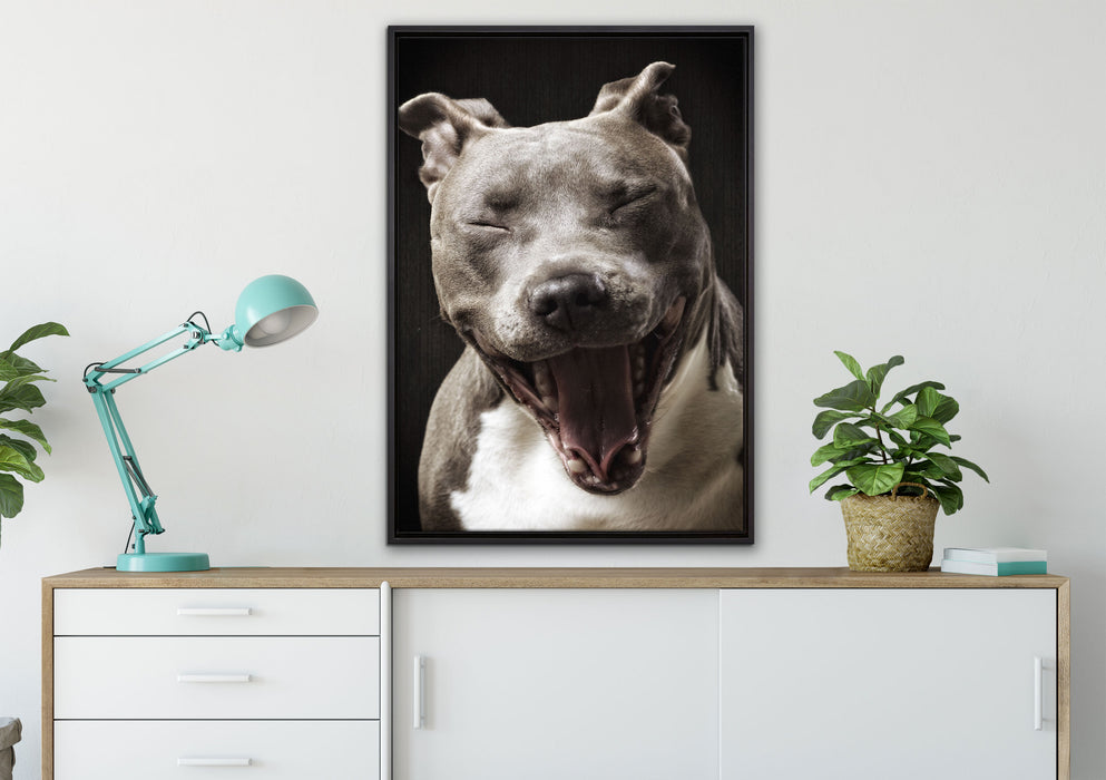 Lachender Pitbull auf Leinwandbild gerahmt verschiedene Größen im Wohnzimmer