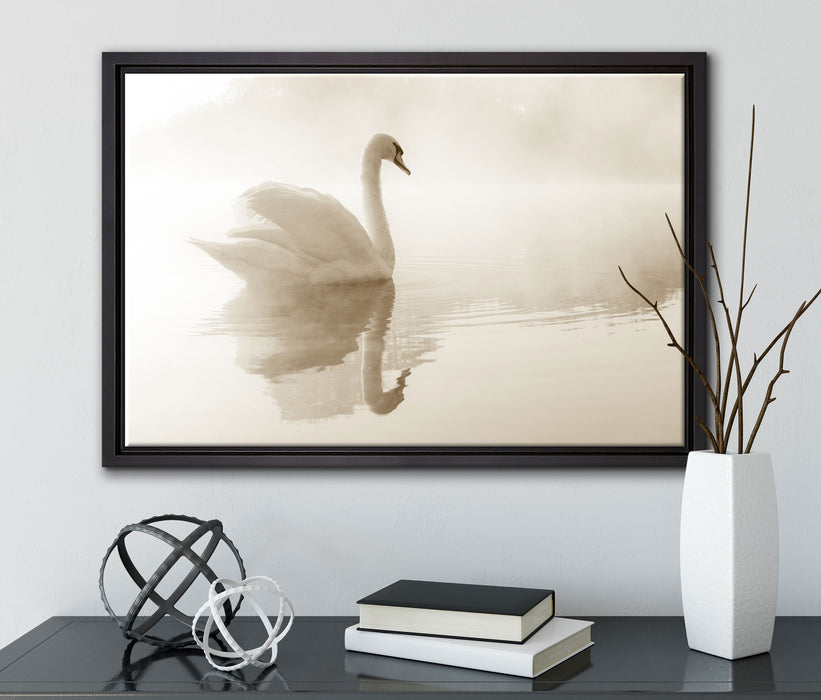 Schwan im Morgennebel auf Leinwandbild gerahmt mit Kirschblüten