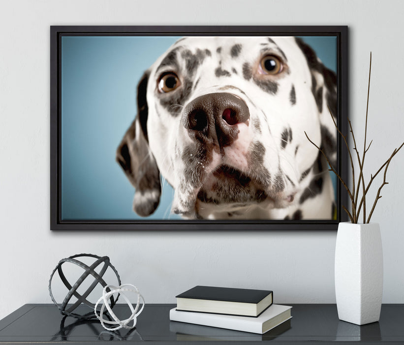 Süßer Dalmatiner auf Leinwandbild gerahmt mit Kirschblüten