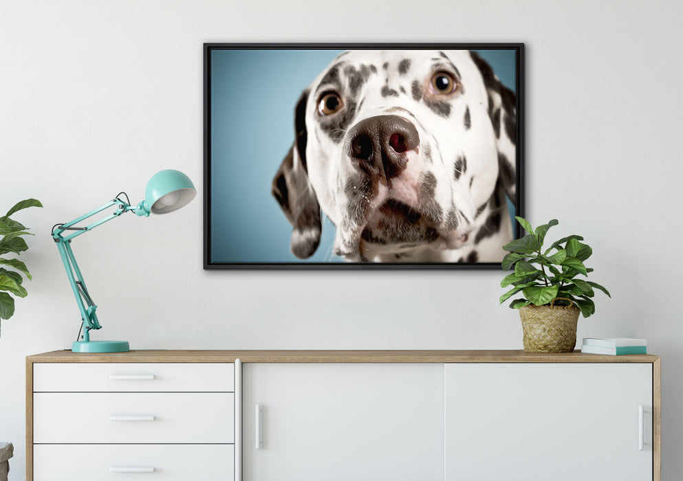 Süßer Dalmatiner auf Leinwandbild gerahmt verschiedene Größen im Wohnzimmer