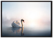 traumhafter weißer Schwan im See auf Leinwandbild gerahmt Größe 100x70