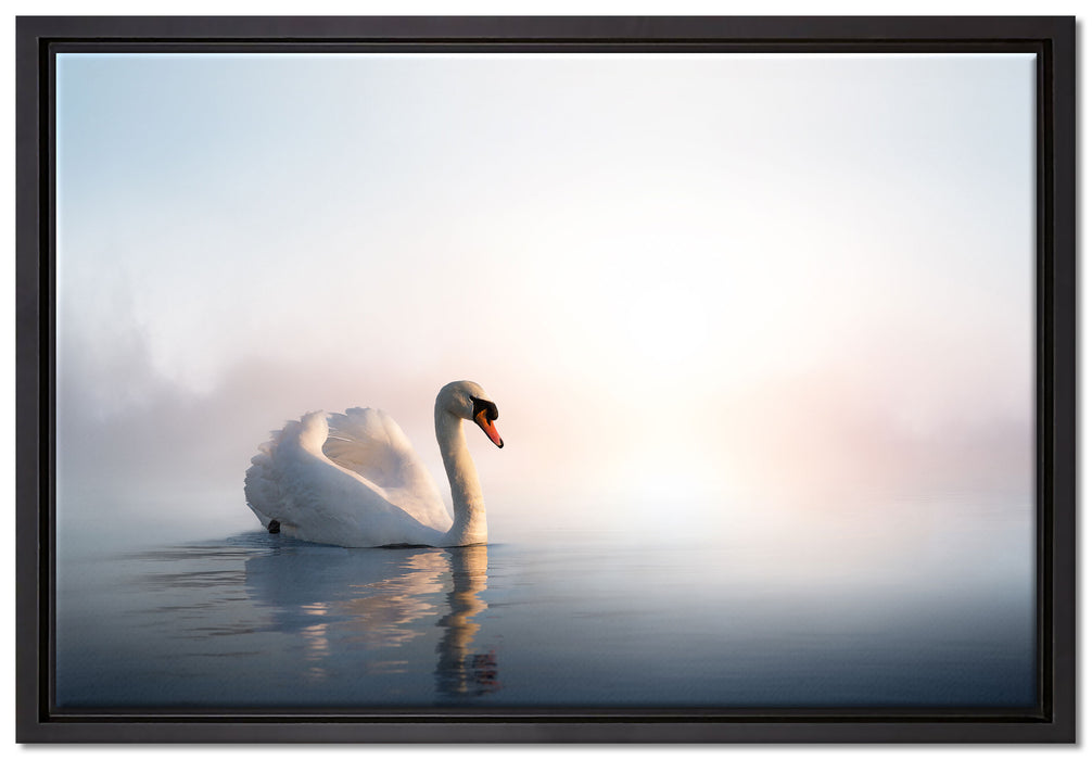 traumhafter weißer Schwan im See auf Leinwandbild gerahmt Größe 60x40