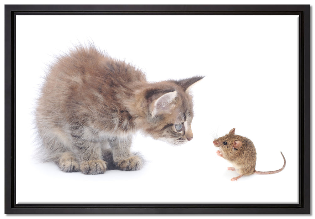 Katze und Maus Freunde auf Leinwandbild gerahmt Größe 60x40