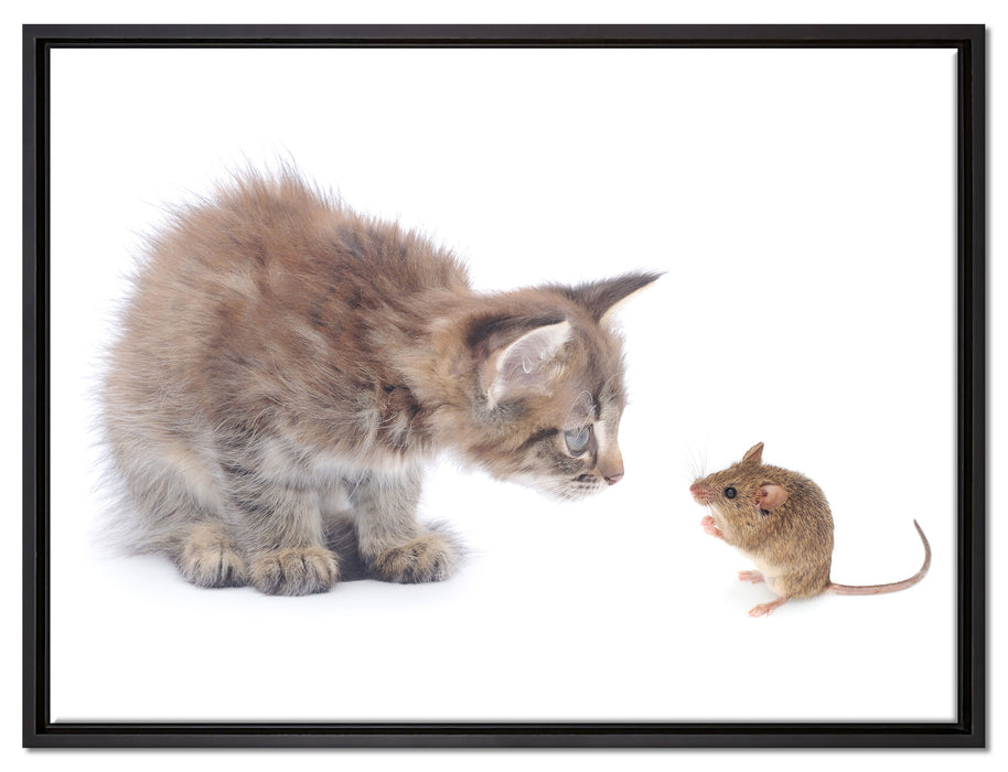 Katze und Maus Freunde auf Leinwandbild gerahmt Größe 80x60