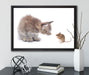 Katze und Maus Freunde auf Leinwandbild gerahmt mit Kirschblüten