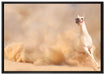 weißes Pferd in der Wüste auf Leinwandbild gerahmt Größe 100x70