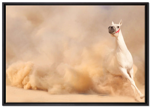 weißes Pferd in der Wüste auf Leinwandbild gerahmt Größe 100x70