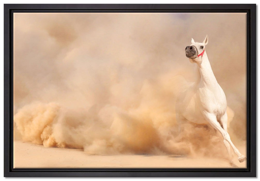 weißes Pferd in der Wüste auf Leinwandbild gerahmt Größe 60x40