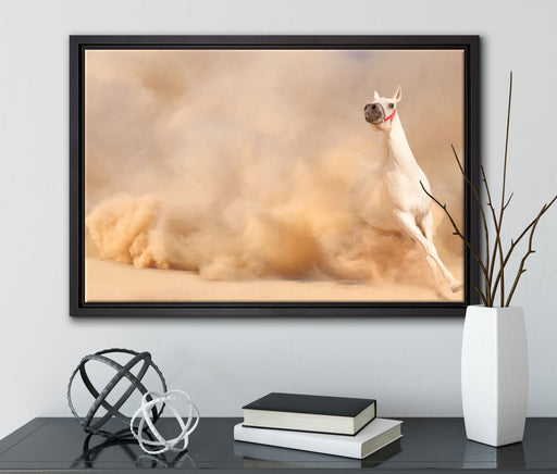 weißes Pferd in der Wüste auf Leinwandbild gerahmt mit Kirschblüten