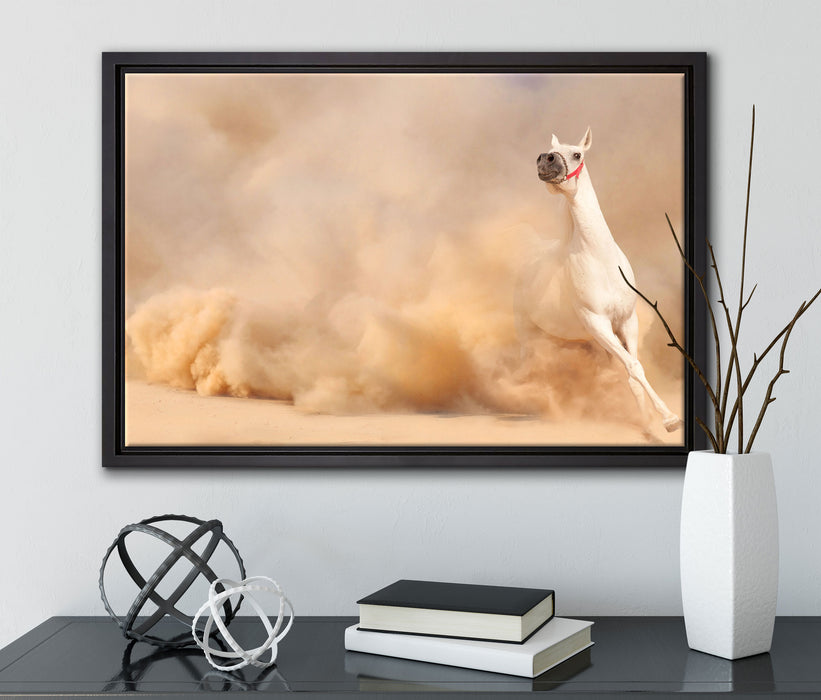 weißes Pferd in der Wüste auf Leinwandbild gerahmt mit Kirschblüten