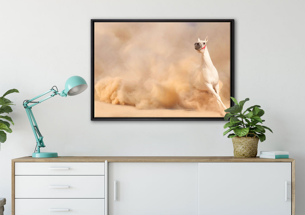weißes Pferd in der Wüste auf Leinwandbild gerahmt verschiedene Größen im Wohnzimmer