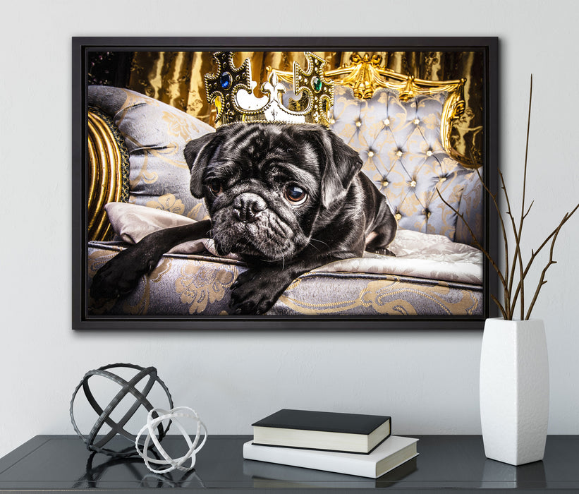 Süßer Mops auf dem Thron auf Leinwandbild gerahmt mit Kirschblüten