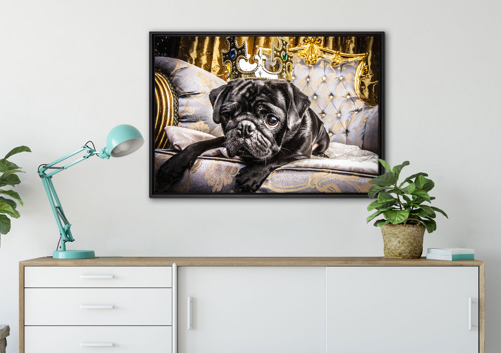 Süßer Mops auf dem Thron auf Leinwandbild gerahmt verschiedene Größen im Wohnzimmer