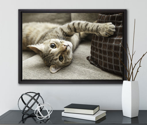 Süßes Kätzchen spielt auf Leinwandbild gerahmt mit Kirschblüten