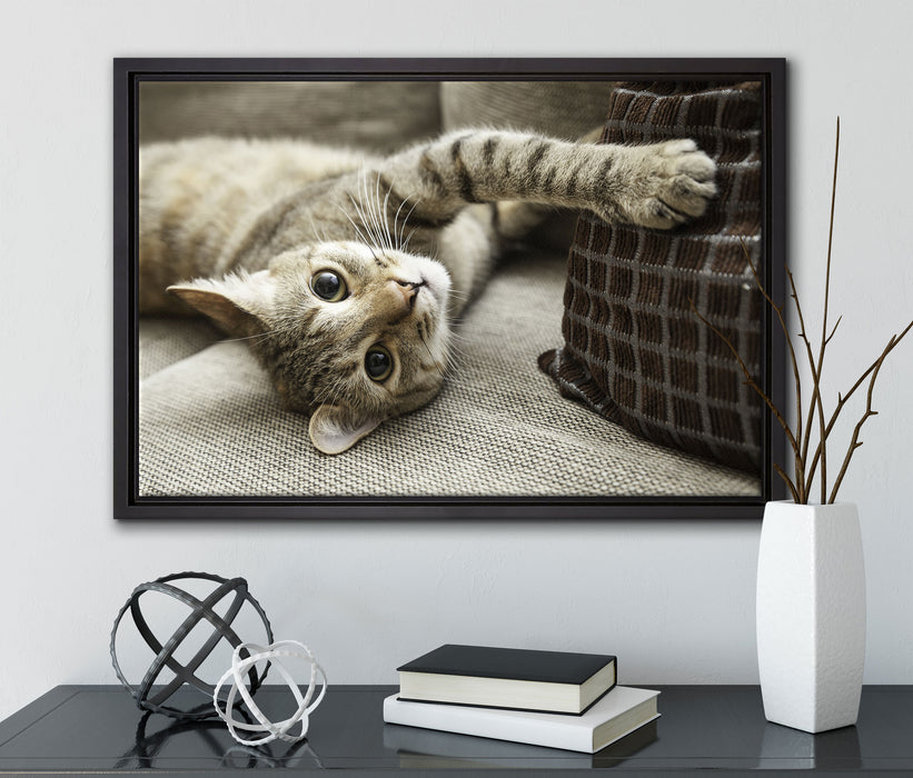 Süßes Kätzchen spielt auf Leinwandbild gerahmt mit Kirschblüten