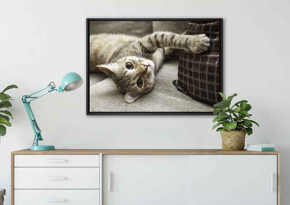 Süßes Kätzchen spielt auf Leinwandbild gerahmt verschiedene Größen im Wohnzimmer