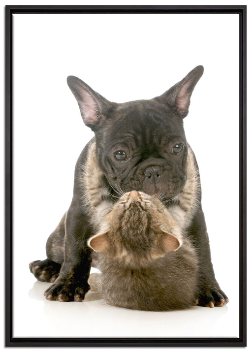 Katze und Mobs Freunde fürs Leben auf Leinwandbild gerahmt Größe 100x70
