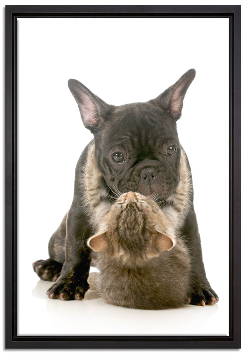 Katze und Mobs Freunde fürs Leben auf Leinwandbild gerahmt Größe 60x40