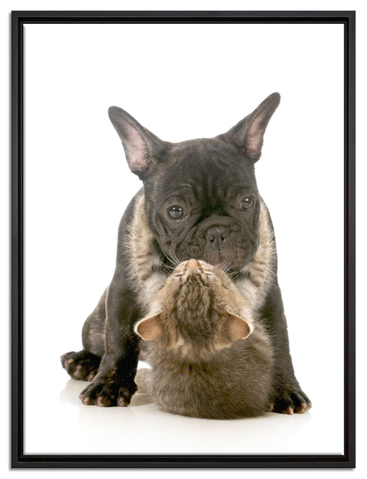 Katze und Mobs Freunde fürs Leben auf Leinwandbild gerahmt Größe 80x60