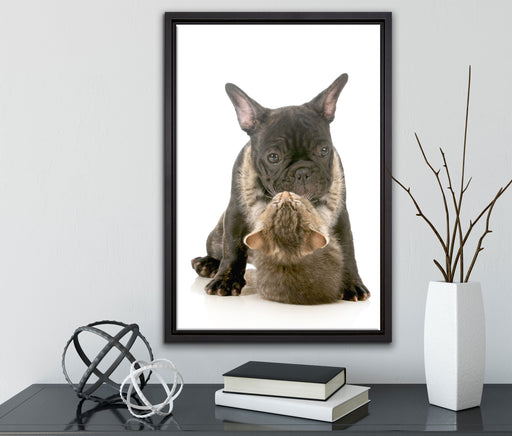 Katze und Mobs Freunde fürs Leben auf Leinwandbild gerahmt mit Kirschblüten