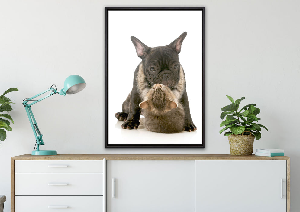 Katze und Mobs Freunde fürs Leben auf Leinwandbild gerahmt verschiedene Größen im Wohnzimmer