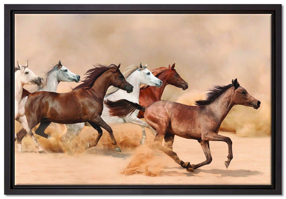 Western Pferde in Wüste auf Leinwandbild gerahmt Größe 60x40