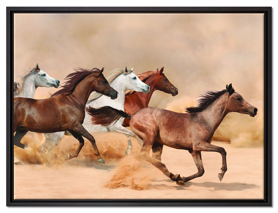 Western Pferde in Wüste auf Leinwandbild gerahmt Größe 80x60
