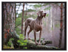 Edler Weimaraner im Wald auf Leinwandbild gerahmt Größe 80x60