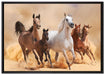 Western Pferde mit Fohlen auf Leinwandbild gerahmt Größe 100x70