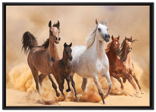 Western Pferde mit Fohlen auf Leinwandbild gerahmt Größe 100x70