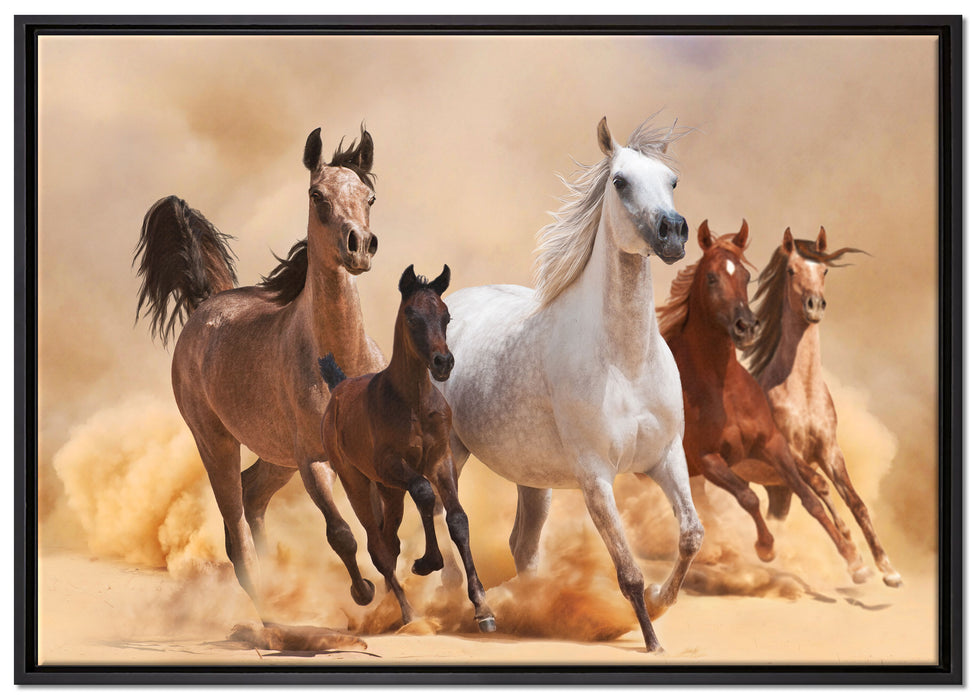 Western Pferde mit Fohlen auf Leinwandbild gerahmt Größe 100x70