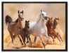 Western Pferde mit Fohlen auf Leinwandbild gerahmt Größe 80x60