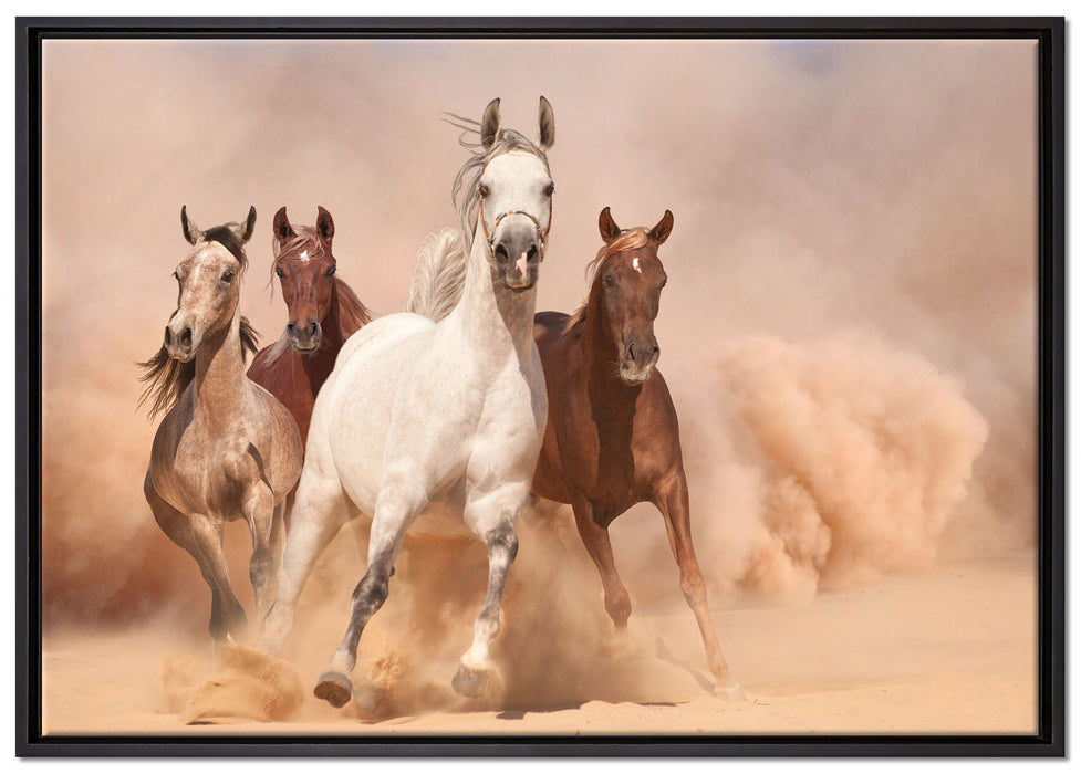 Western Pferde in Wüste auf Leinwandbild gerahmt Größe 100x70