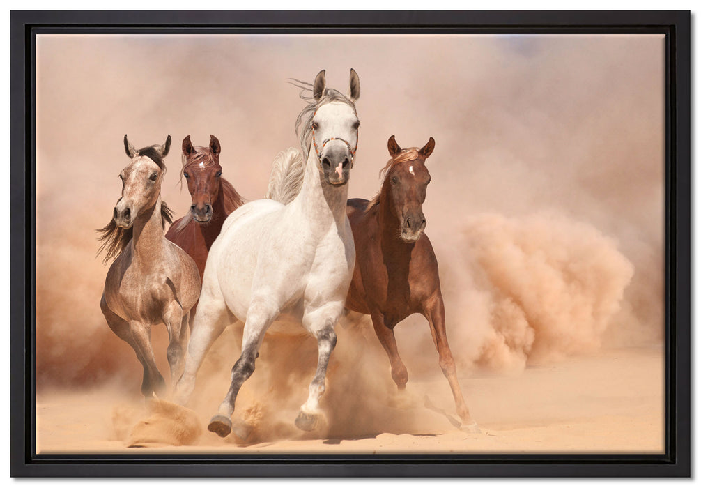 Western Pferde in Wüste auf Leinwandbild gerahmt Größe 60x40