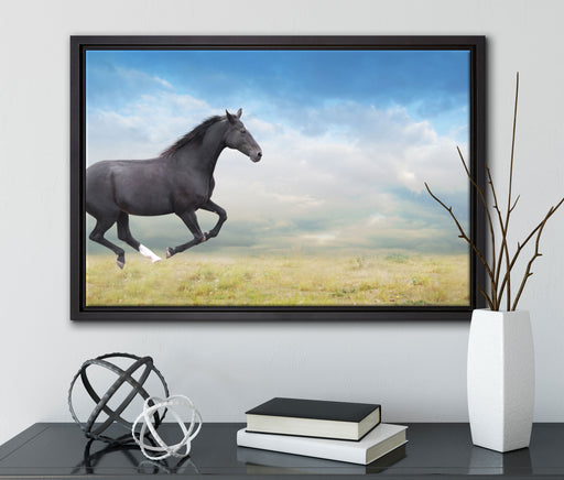 Edler schwarzer Hengst auf Wiese auf Leinwandbild gerahmt mit Kirschblüten