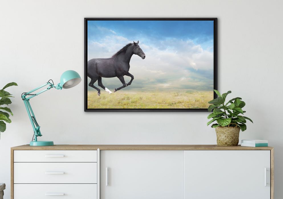 Edler schwarzer Hengst auf Wiese auf Leinwandbild gerahmt verschiedene Größen im Wohnzimmer